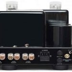 Cary Audio CAD-211FE monoblock amplifier rear