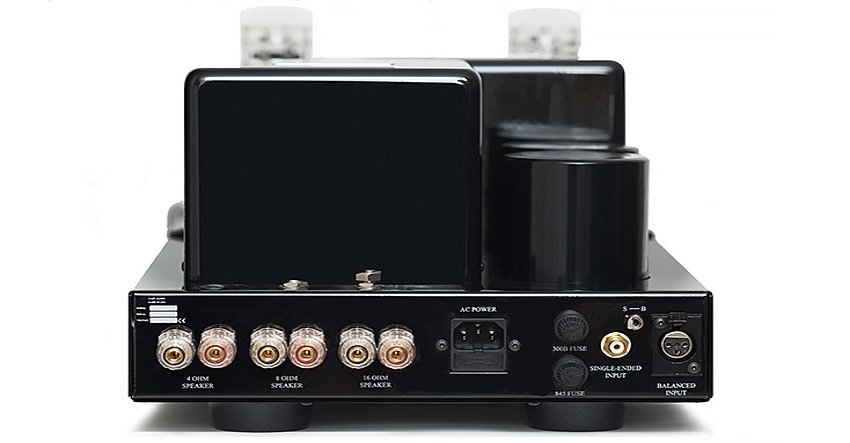 Cary Audio CAD-211FE monoblock amplifier rear